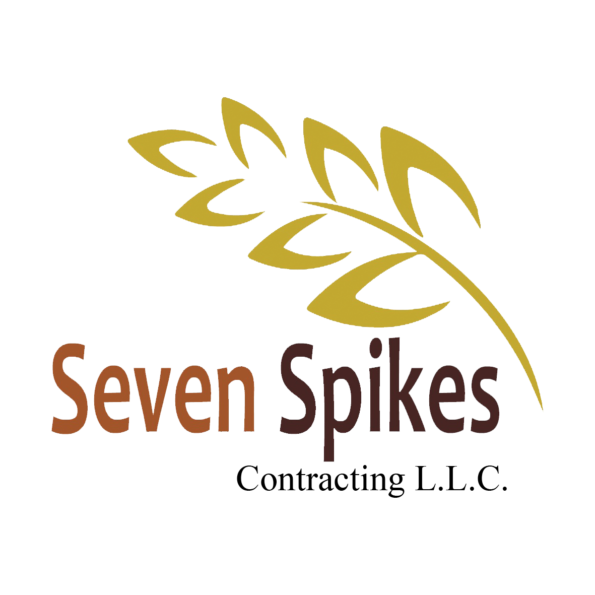Seven Spikes Contracting L.L.C., Oman
