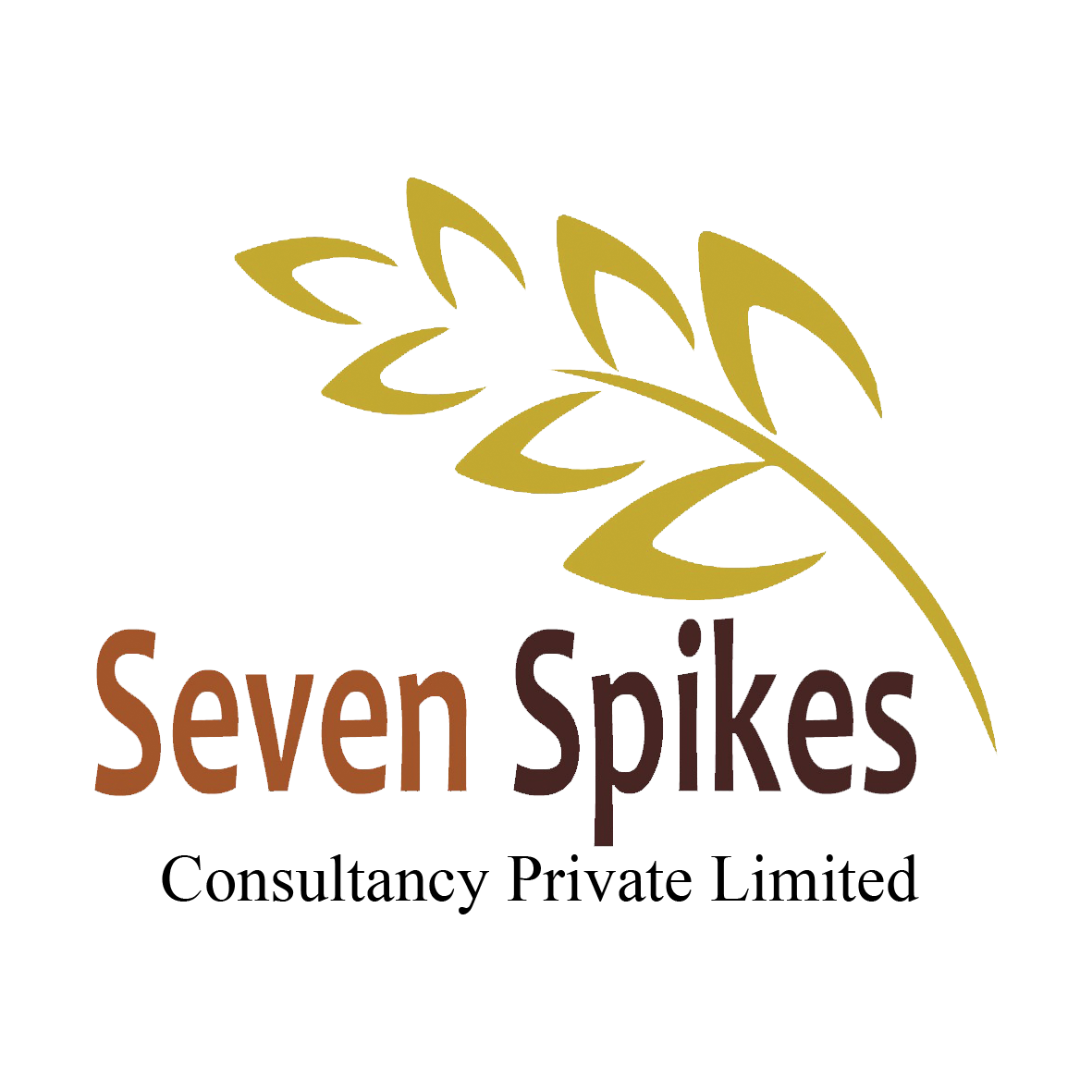 Seven Spikes Consultancy Pvt. Ltd., India